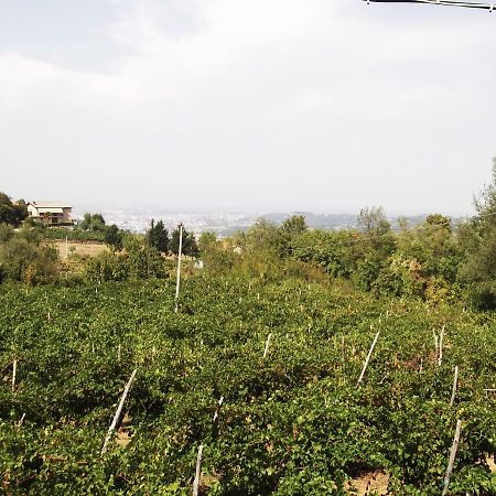 La Panoramica Villa Perarolo ภายนอก รูปภาพ